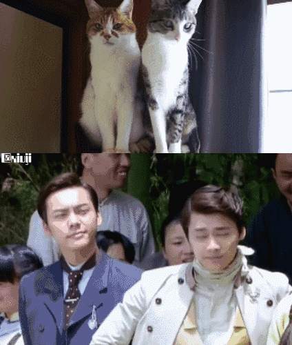 前世五百次的回眸,才换来今生的一次神同步