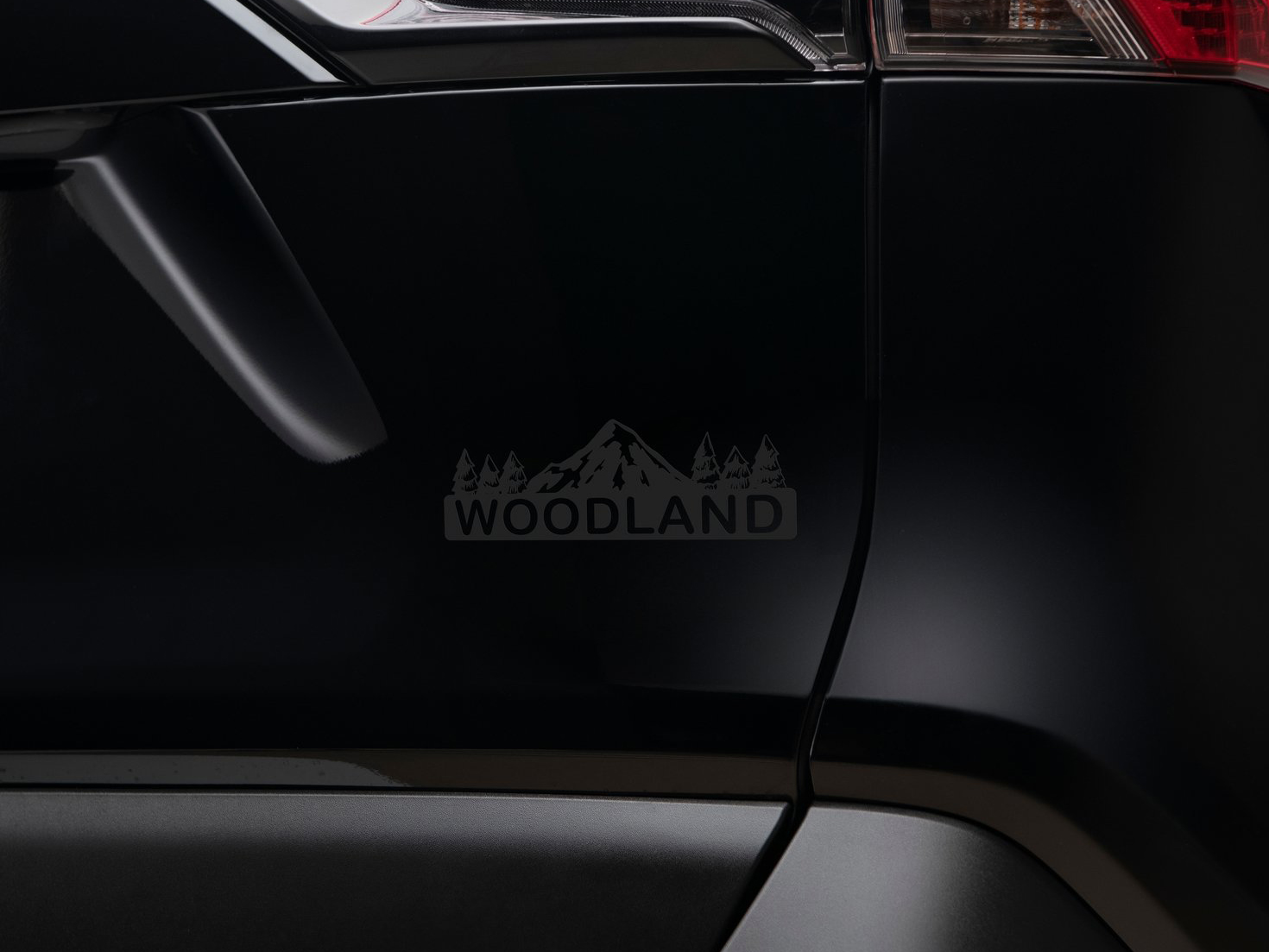Wild Toyota RAV4 Woodland Special Edition Official Images Released - iNEWS