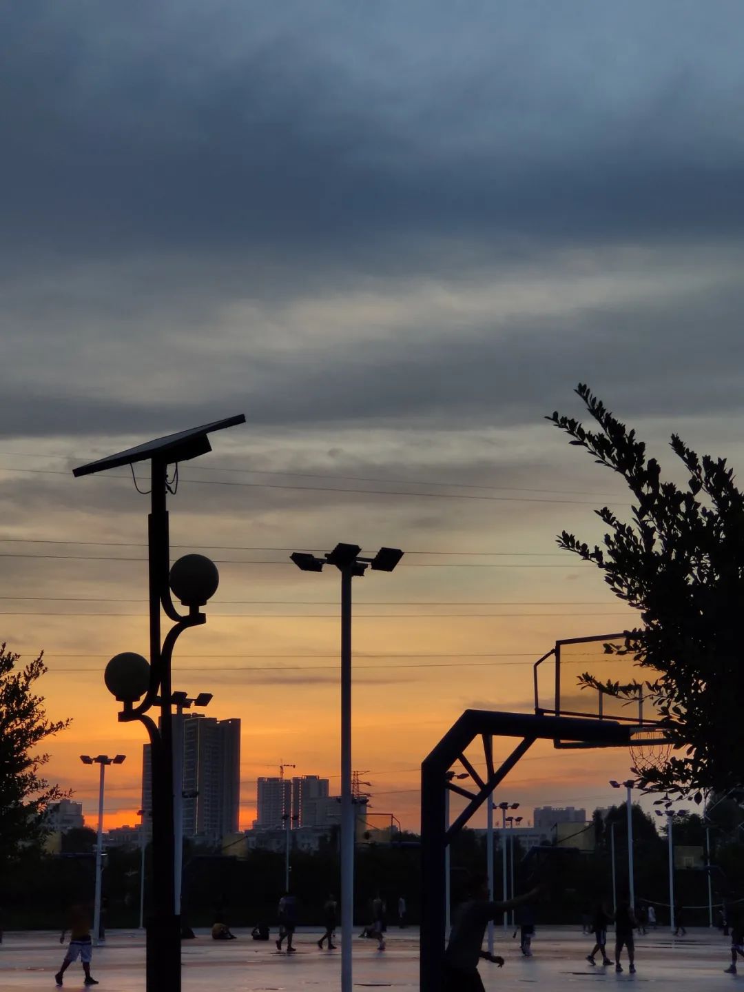 Small happiness | Those who record the life is small I hope truly -- crepuscular piece