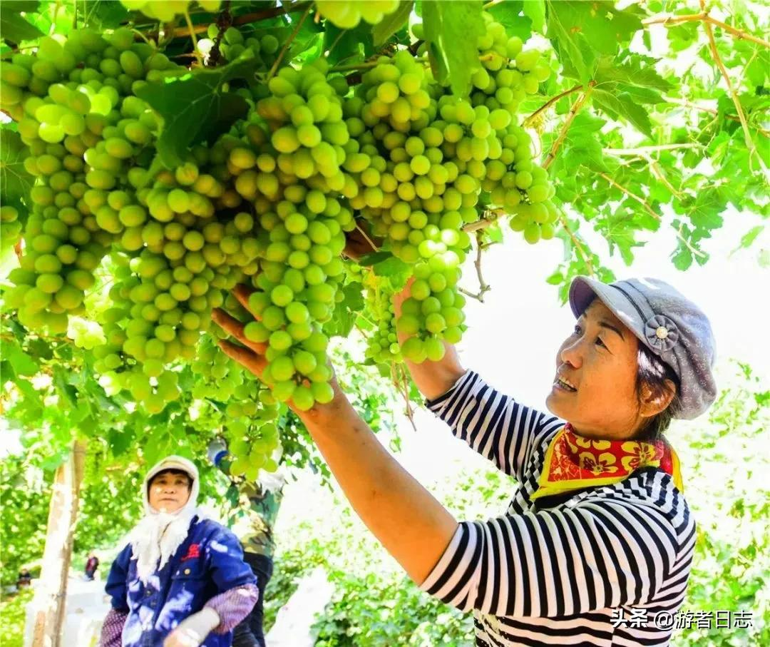 走进“东亚文化之都”：购在敦煌