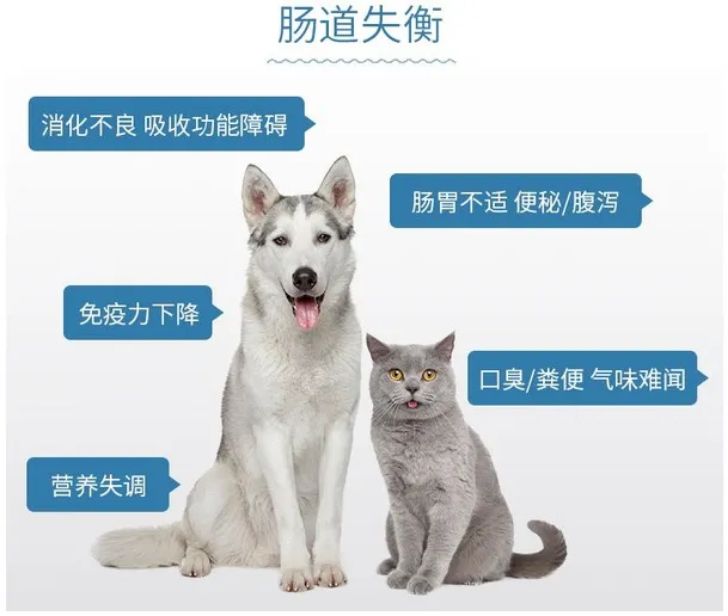 食用益生菌到底是啥？别再傻傻分不清啦