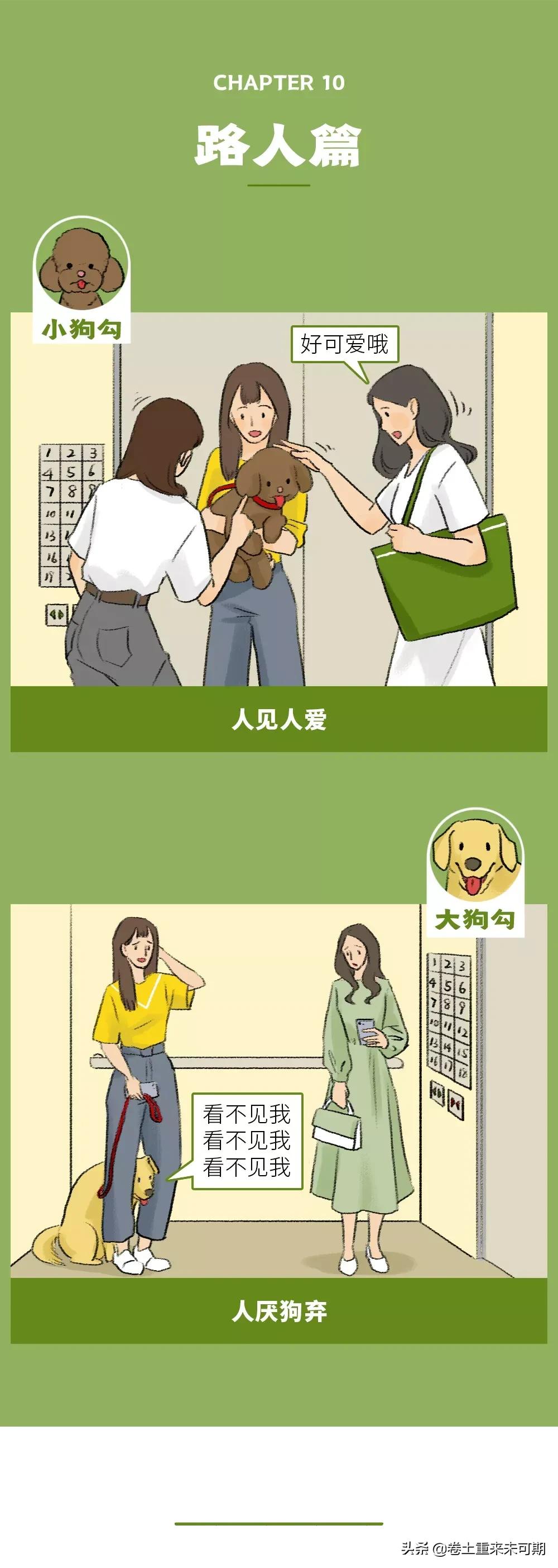 漫画：女生养大狗，对男朋友有什么坏处？
