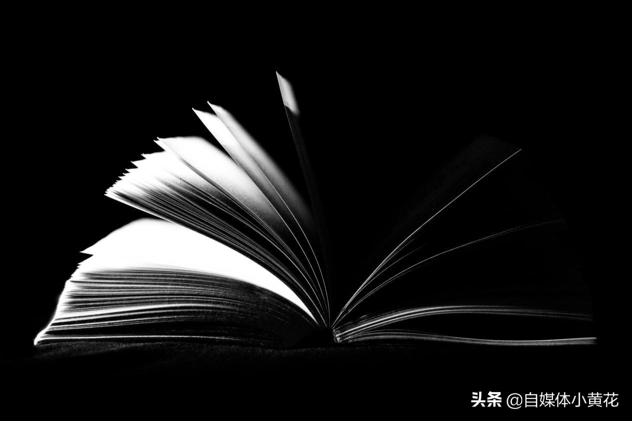 蚂小蚁同学：想做自媒体怎么入门？这些方法告诉你
