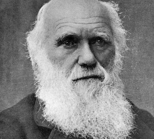 近親到底有多可怕 看看愛因斯坦 達爾文就知道了 存在與邏輯 Mdeditor