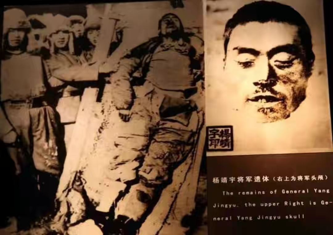 杨靖宇牺牲后被剖尸，日本军官回国崩溃，毒死妻儿并留下遗书自尽