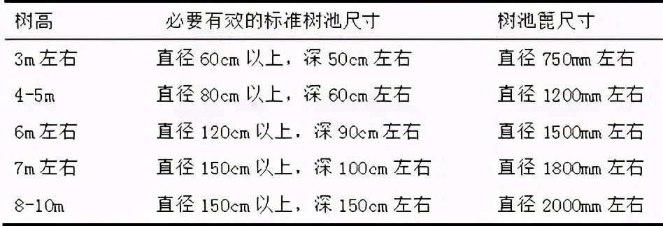 见过那么多树池,这些设计技巧你都知道吗?