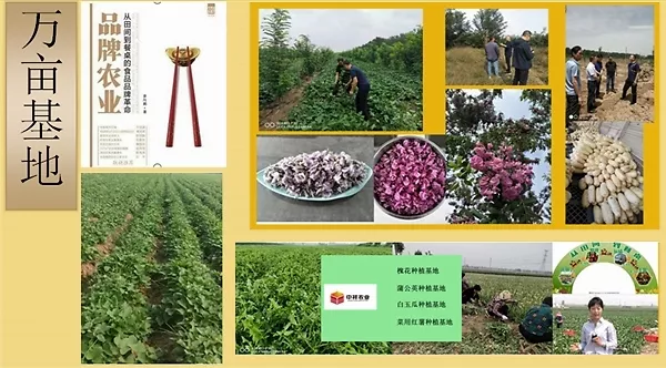 品牌 | 中祥农业：围绕“四菜一花”，打造康养食品产业链