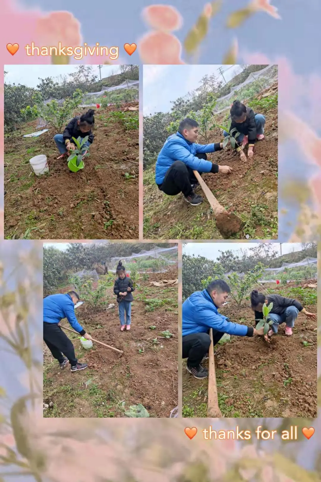 创绿色环保 享美好家园丨天府新区新兴小学植树节环保教育活动