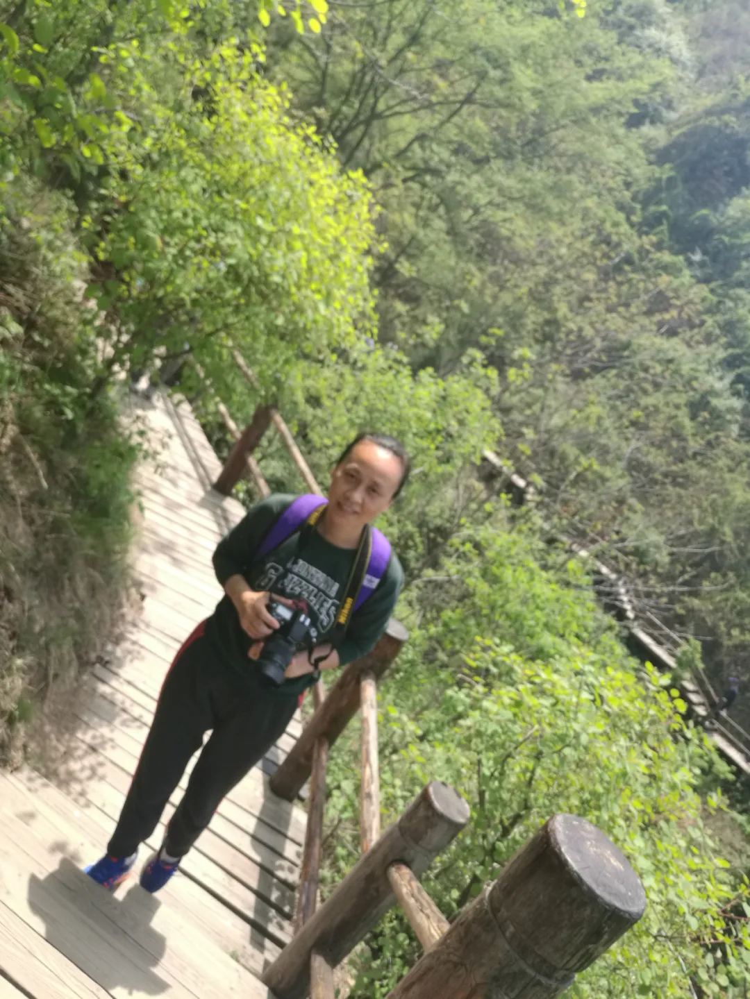 ְҵѧԺٰ2020ʦڱô