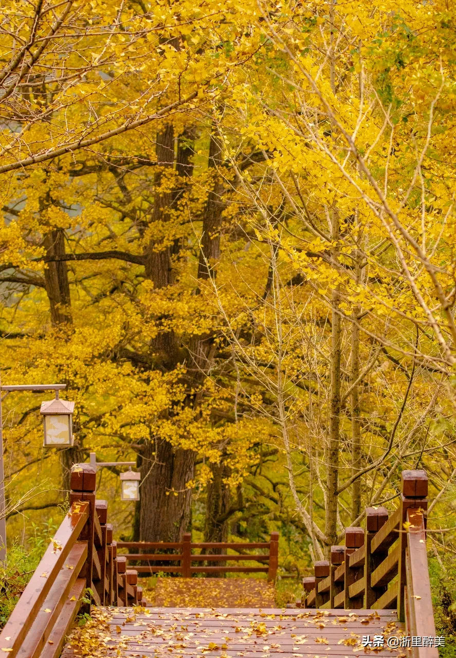 10 ancient towns with beautiful autumn colors, if you are tired, go to stay for a few days