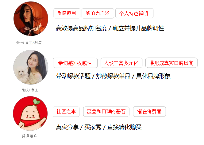 小红书爆款的四大投放逻辑！限时免观，建议收藏