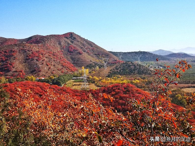 On weekends, check in Shunyi’s free scenic spot, the colorful shallow mountains, the red leaves are beautiful, and there are so many tourists.