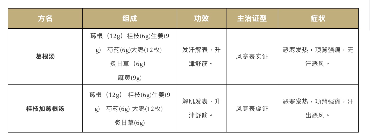 一味治疗颈椎病的好药：解肌升阳话葛根