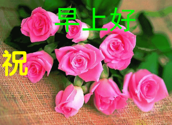 最棒|正月十九最棒早安问候祝福语动画表情动态图片，早安问候祝福动图