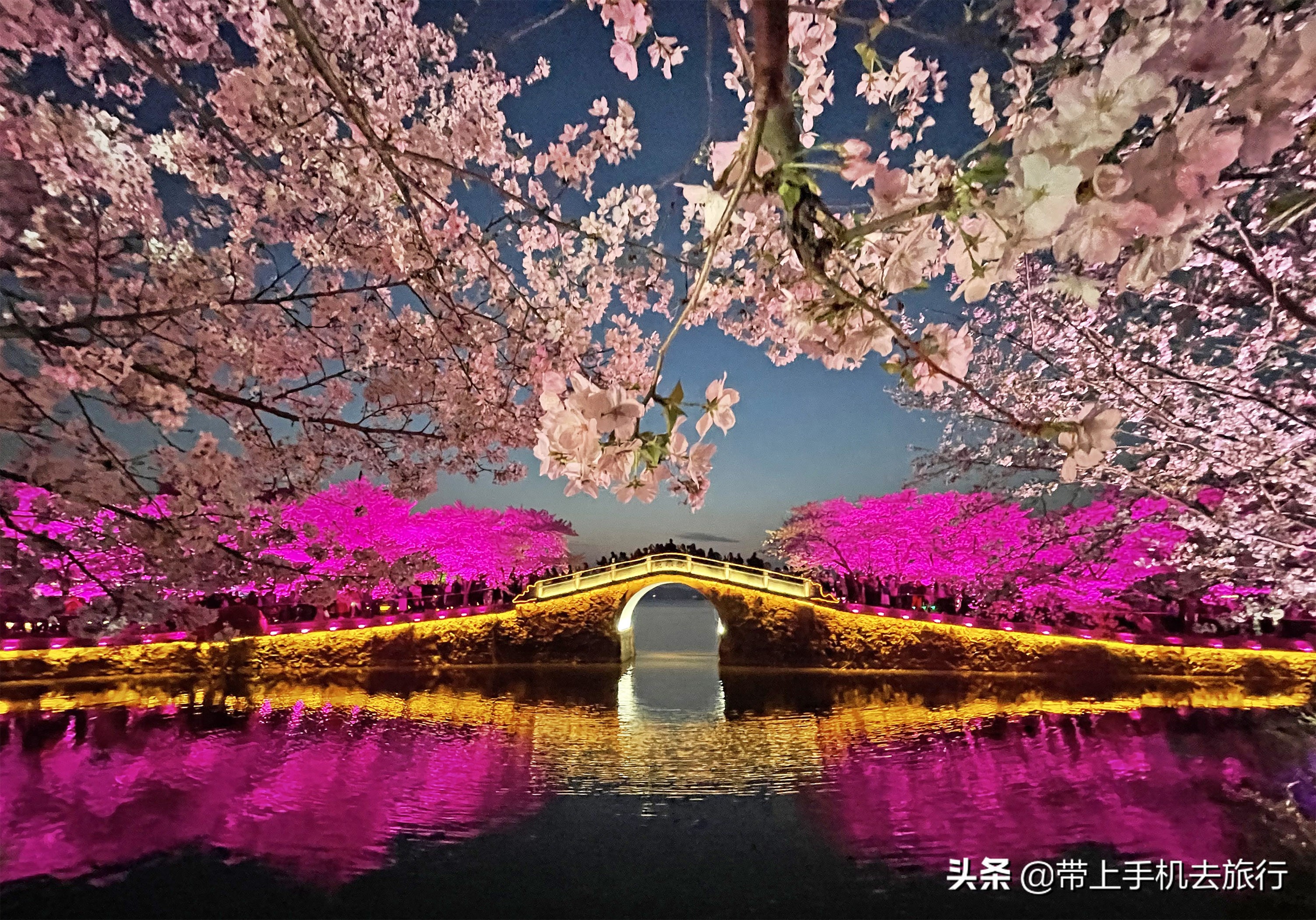 手机拍照模式该怎么选？请收下这份最全指南