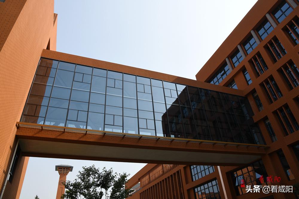 咸陽渭城中學遷址新建項目建設(shè)紀實(圖3)