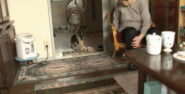 豆瓣9.0，风靡岛国十年，国民女神集体为它沦陷