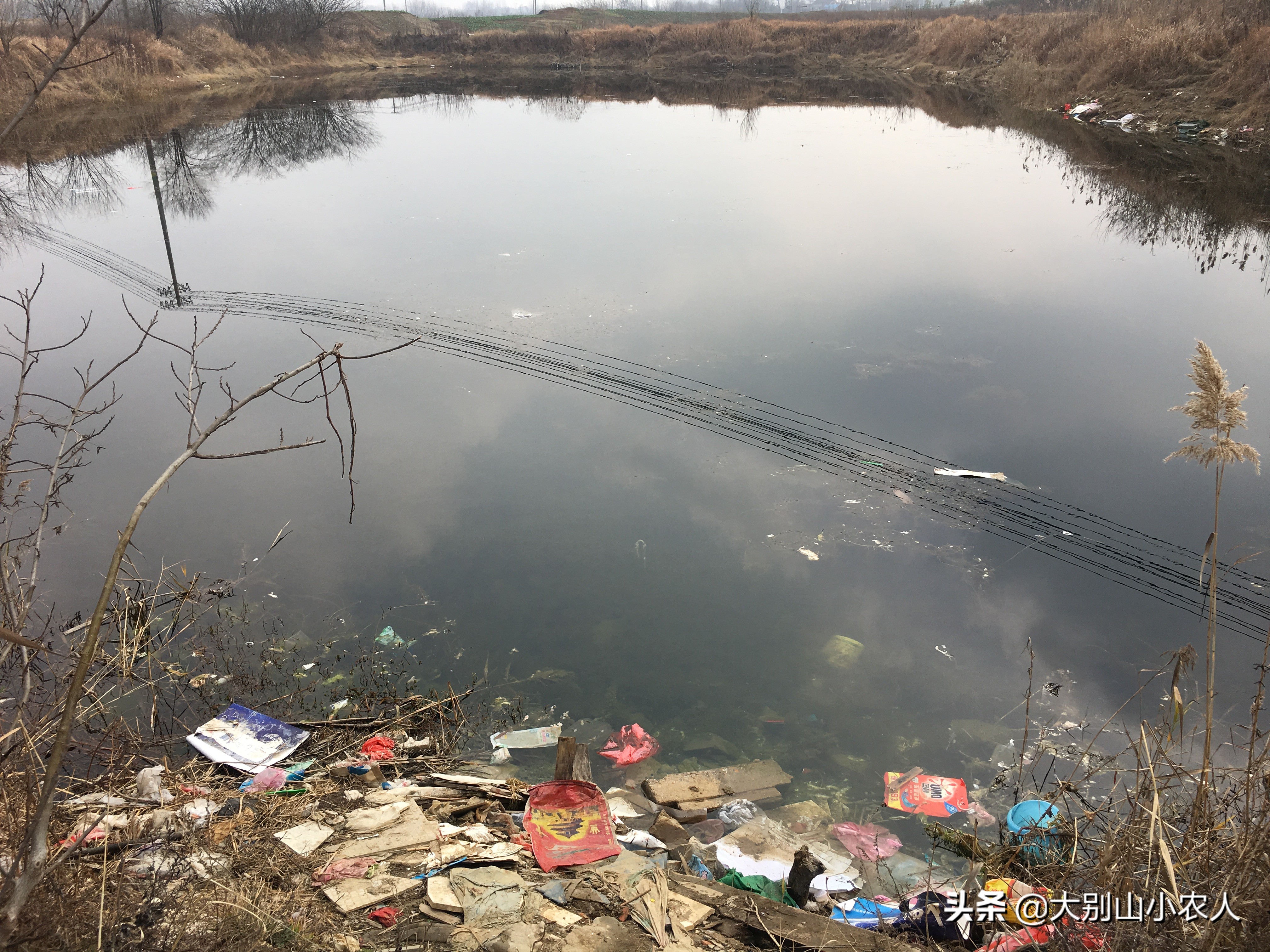 今天你那禁渔了吗？钓鱼人：只要给钓鱼，负责免费监督