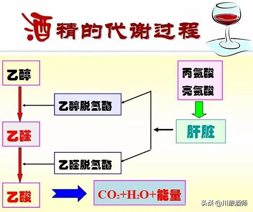 盤點10個白酒冷知識，知道的人很少，建議收藏