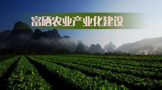 富硒农业种植在我国已全面展开