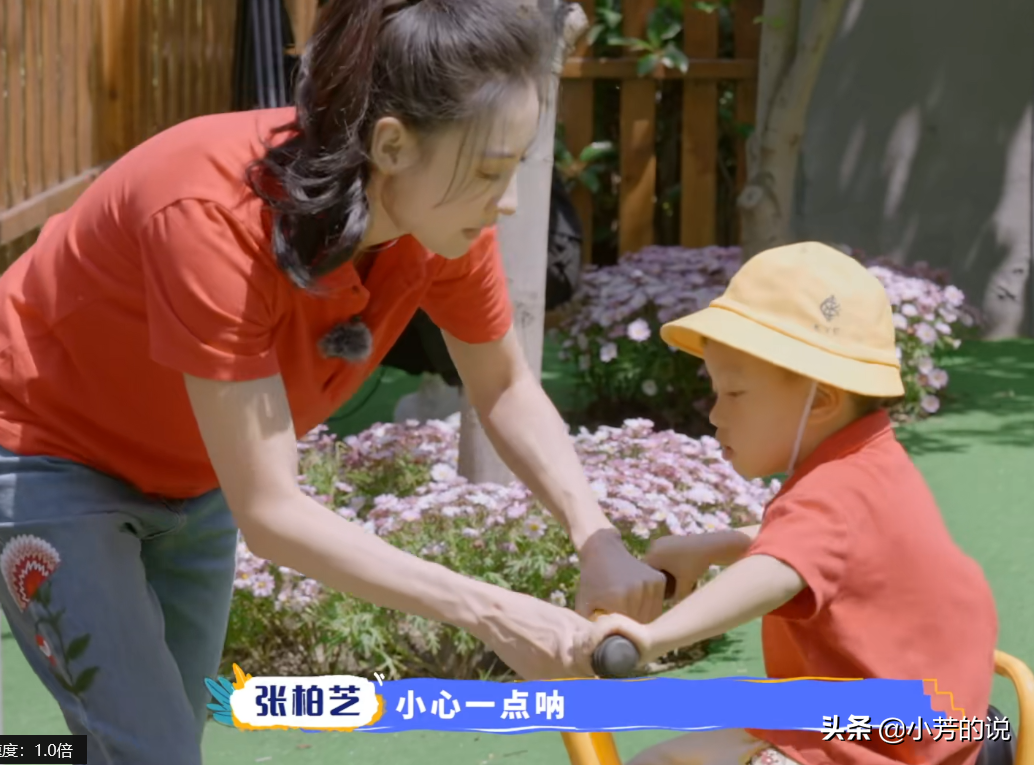 小朋友争玩具一事，张柏芝的处理方式吊打幼儿园专业老师