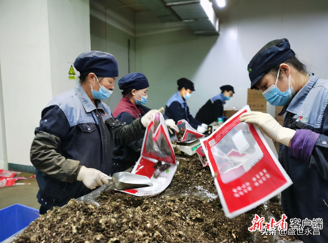 【全面建成小康社会“百城千县万村调研行”】陇西：开辟中医药产业发展新天地