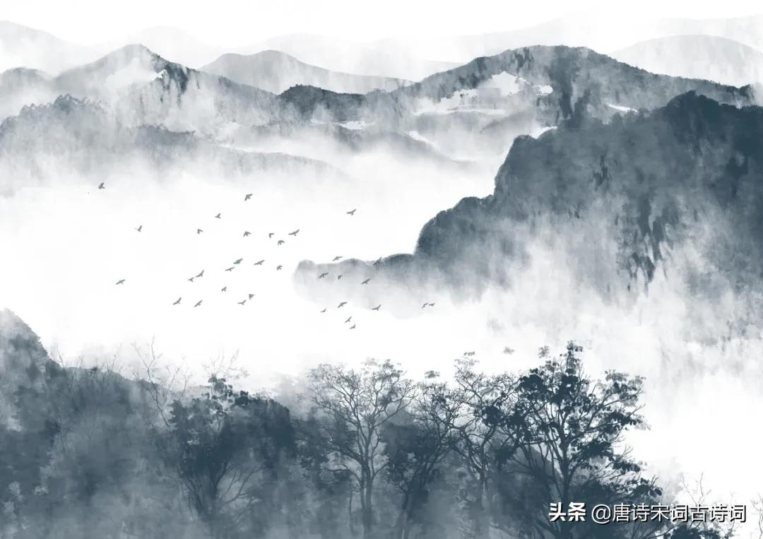 春无踪迹谁知?除非问取黄鹂-第3张图片-非凡网 春无踪迹谁知?除非问取黄鹂-第3张图片-非凡网