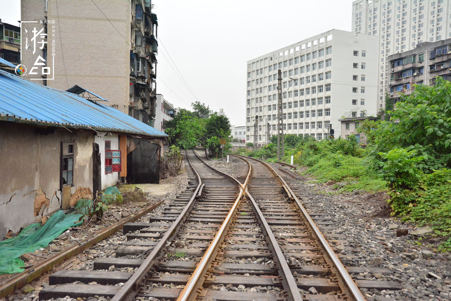 重庆菜园坝站的“绿皮公交”，2块钱登上5612，10分钟抵达黄桷坪