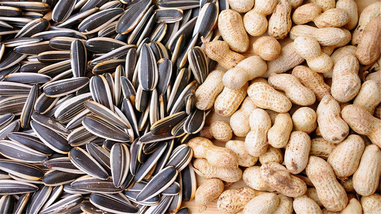Sunflower seeds and peanuts, one is easy to gain weight, the other