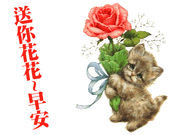 早上好漂亮表情问候祝福文案图片 早上好朋友圈表情图片精华图片