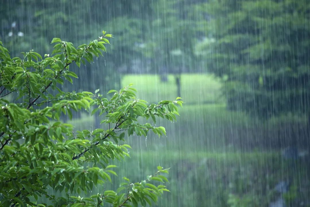 昨夜下了一整夜的雨 乡村初中英语老师 Mdeditor