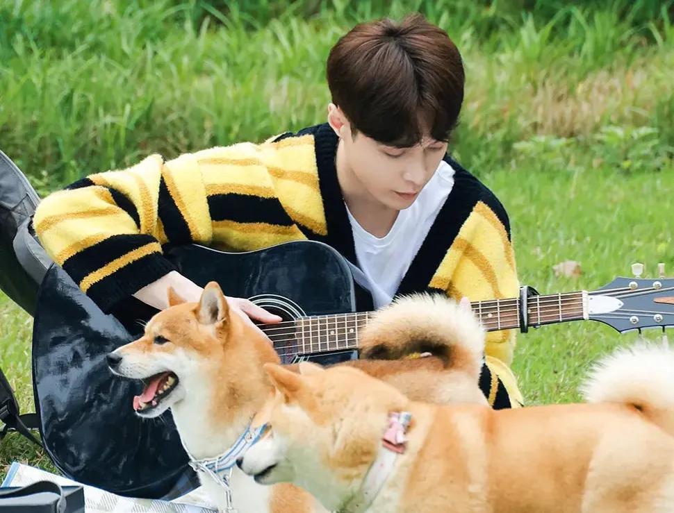 综艺内卷的上半年！快来看看你家爱豆吸粉了吗？