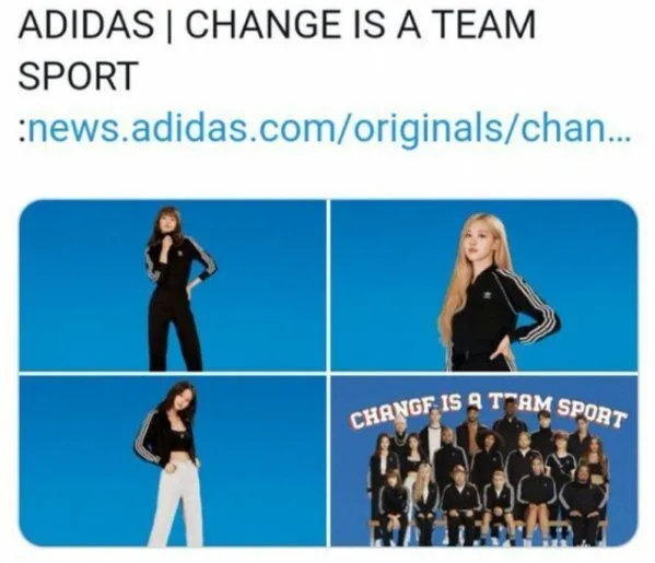 BLACKPINK智秀遭到品牌方排挤;aespa成员陷入虐猫争议?