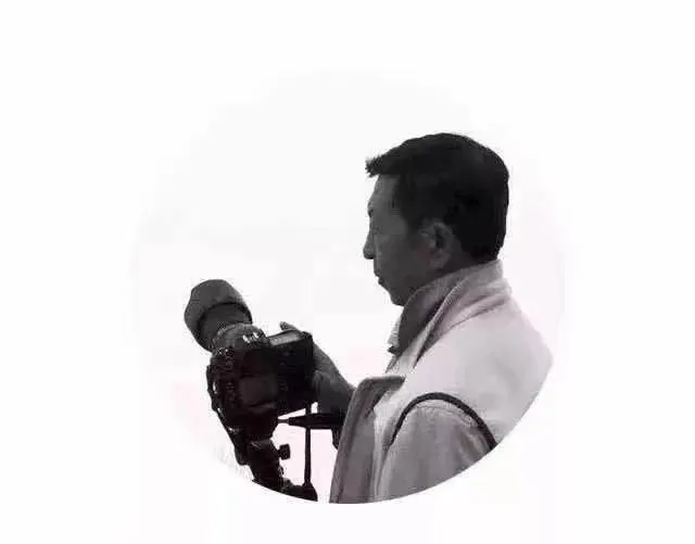 又见呼玛河