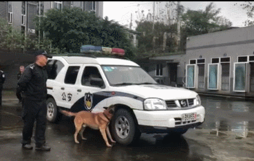 江津区|“邀您进警营，解锁新‘警’彩”——江津公安组织开展警营开放日活动