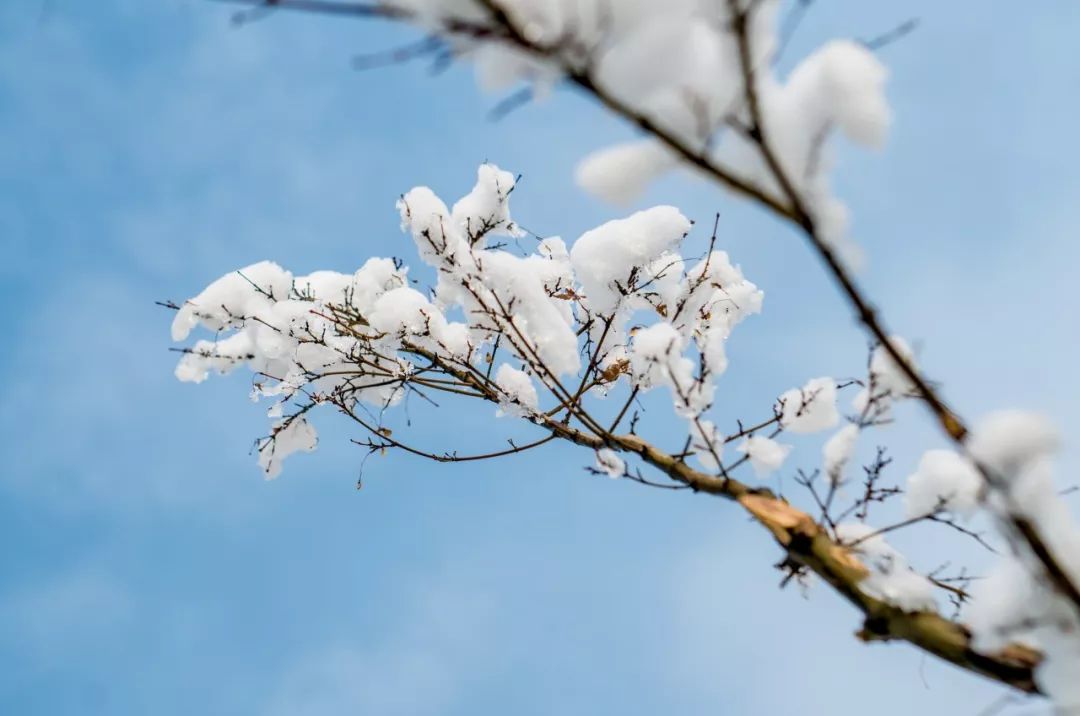 最美的雪在诗词里-第6张图片-非凡网