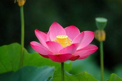 心態正能量的人生句子,字字千金,富含哲理