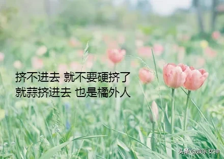 人生，哪能事事如意，生活，哪能样样顺心，早安