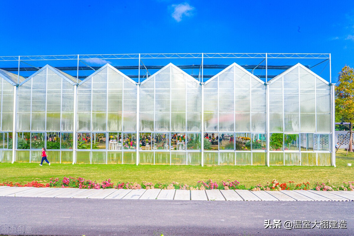 新型智能温室大棚建设工程引领智能化农业提前启动