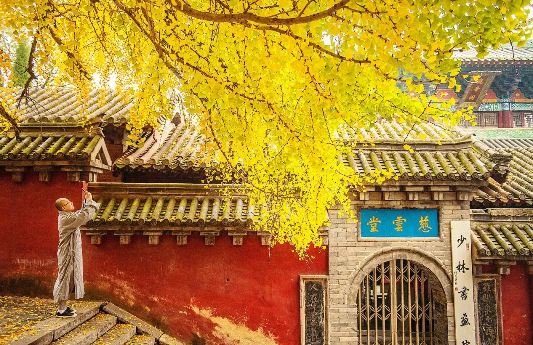 Laojun Mountain, the closest place to wonderland in China!  The sea of ​​clouds is comparable to Wugong Mountain, and the sunrise does not lose to Huangshan