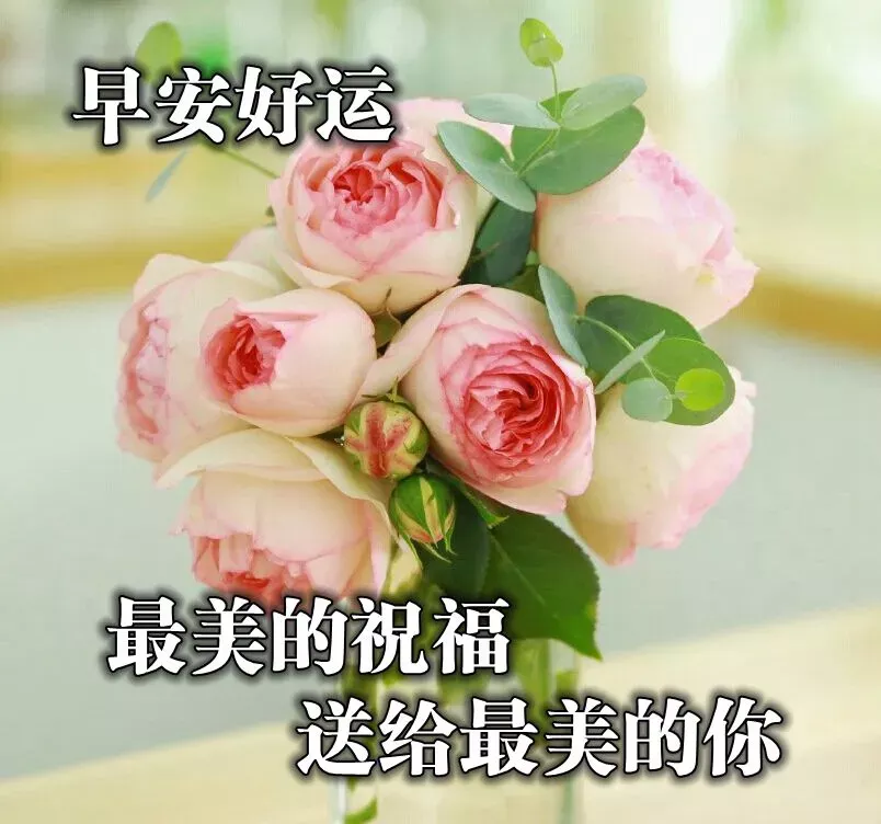 好看的早上好的祝福语图片大全，唯美早上好动态表情包图片