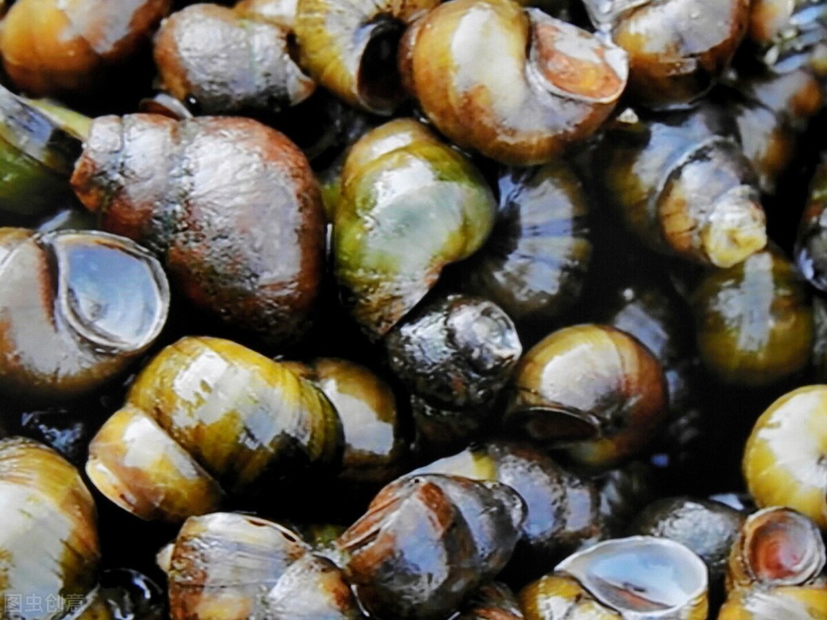 ��ϴ���ݣ���Ҫֻ����Σ����һζ�ϣ����ݿ���ɳ���ֿ��ֳ���