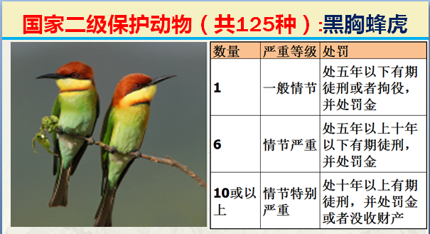 国家最新125类二级野生保护名录，图片及违法对应刑责