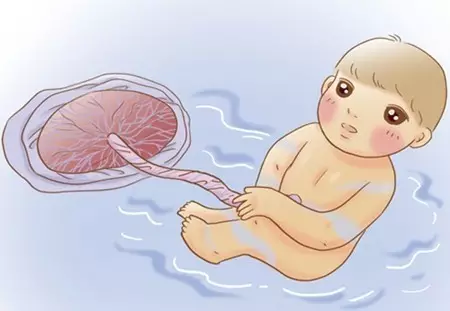 家长能为新生宝宝储存哪些干细胞？