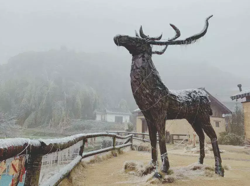 不用去看故宫的雪！钱塘江畔的冰雪霸屏了……美翻了整个江南！