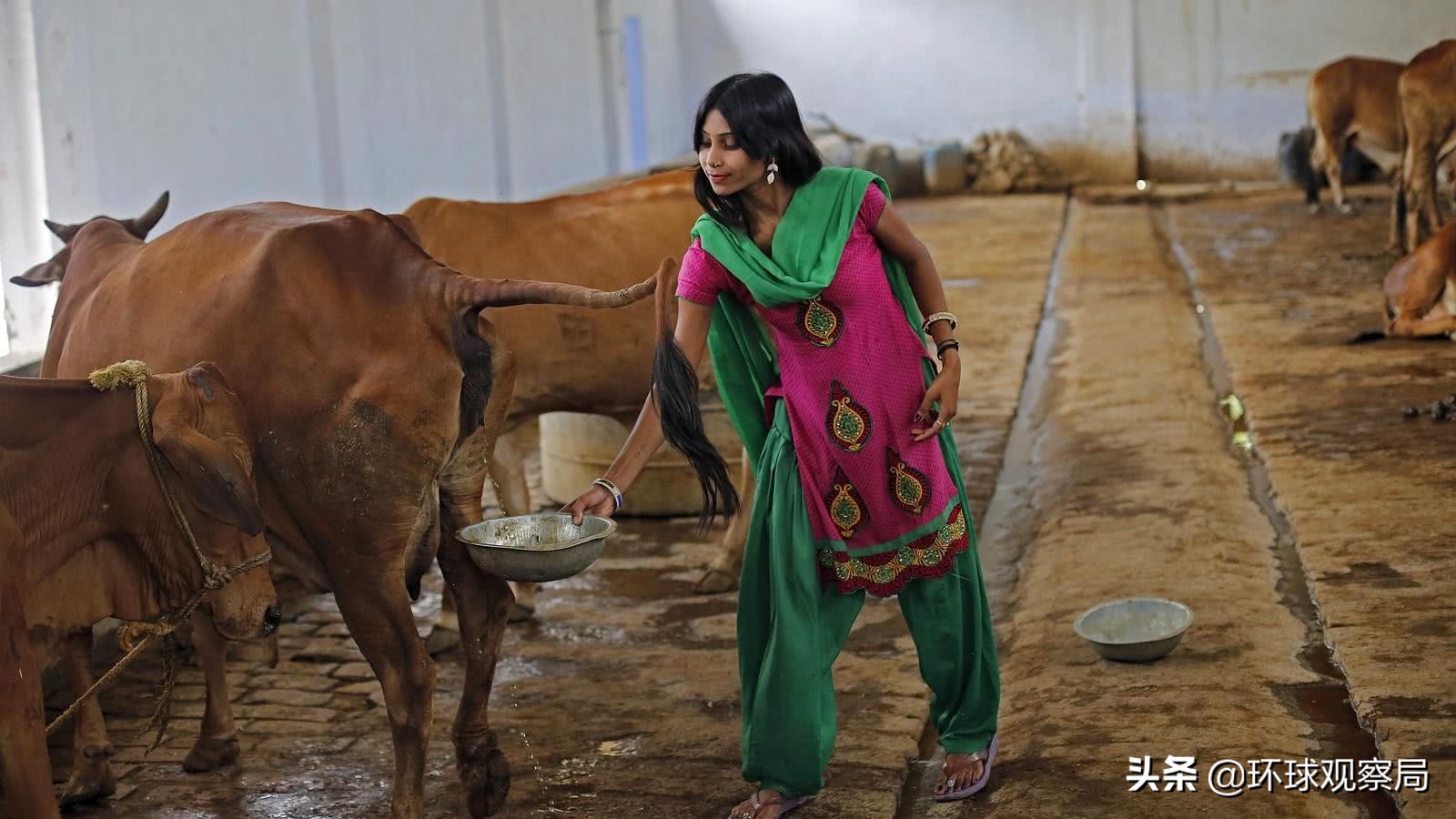 ����ģ�ӡ�����������ҵ���֤��ӡ�ȳ�Ϊ�����������������֤��