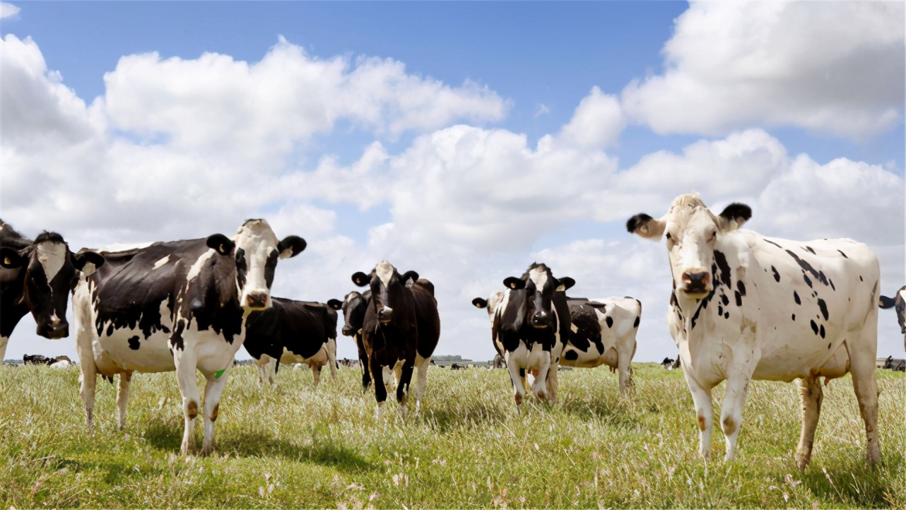 中澳關係陷入僵局，澳方對華手段層出不窮，中國警告絕不是空話