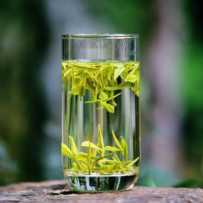 “喝不喝春白茶？”進階茶友的心動暗號