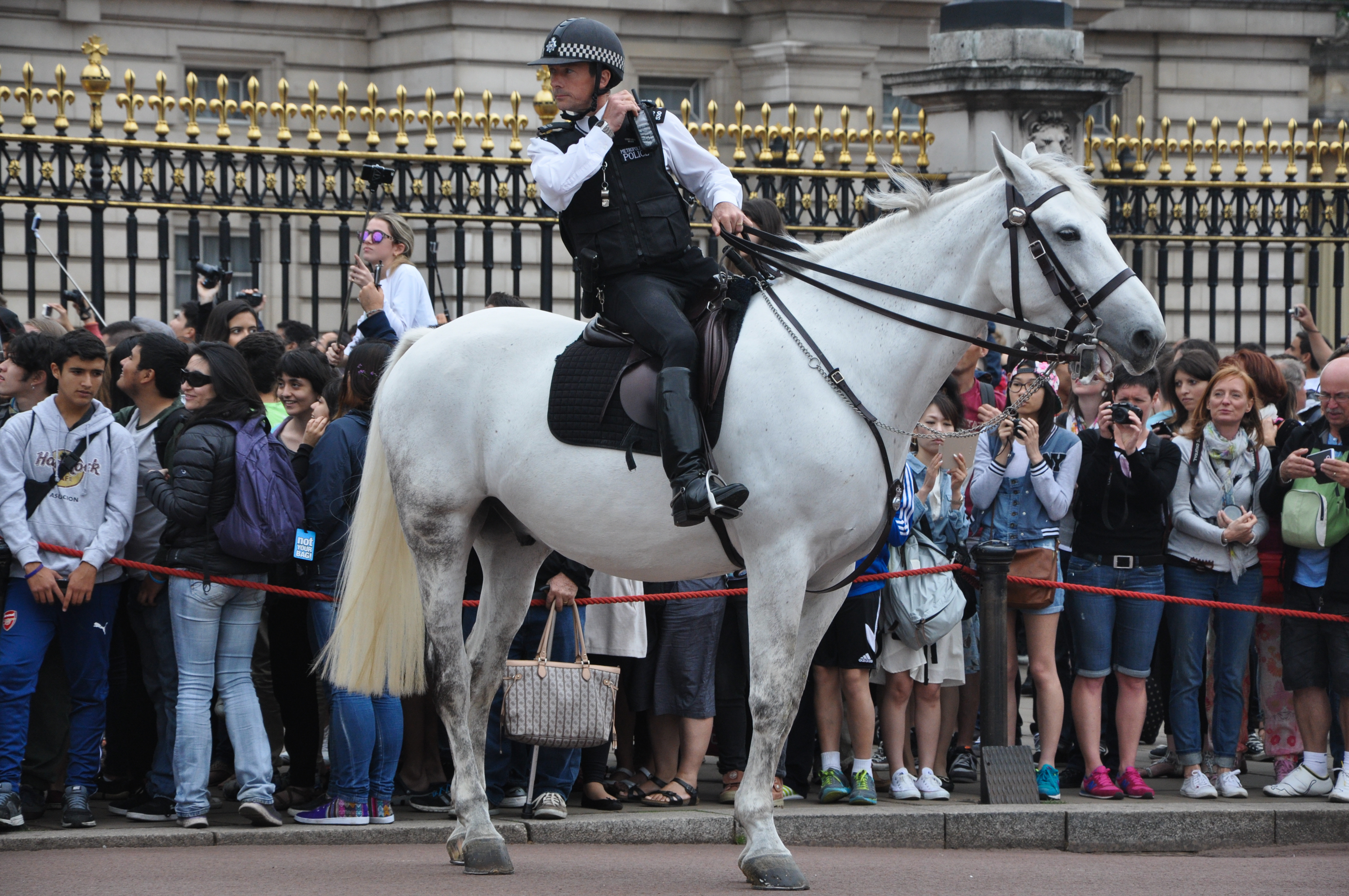 英国白金汉宫皇家卫队华丽的交接仪式