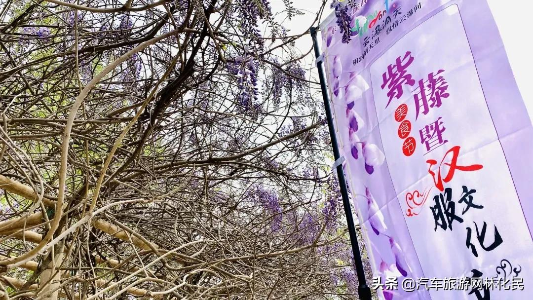 云瀑洞天，周六紫藤美食 · 汉服文化节，这类人群门票免费